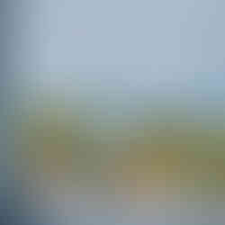 Yoga at Beach Retreats - Embrace Nature