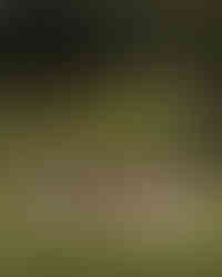 Family time at Wooda Farm