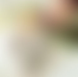 Stuffed Chard Rainbow Rolls with Peanut Dip