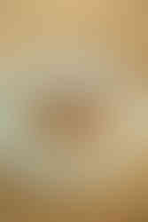 Slow soy braised pork belly, crispy rice cake, pickled slaw, sesame mayonnaise from the galley topsham