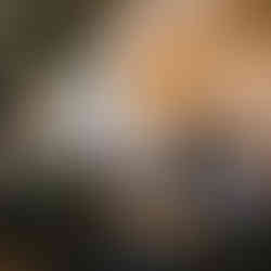 Restaurant guests at Halwyn