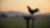 Home-Welcome-1.jpg