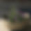 Thumbnail: Workshop grote schaal- 3 uur