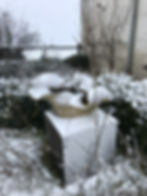 Thumbnail: Fluistering uit de natuur