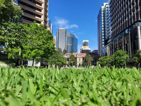  A Year of Discovery in Brisbane, Australia