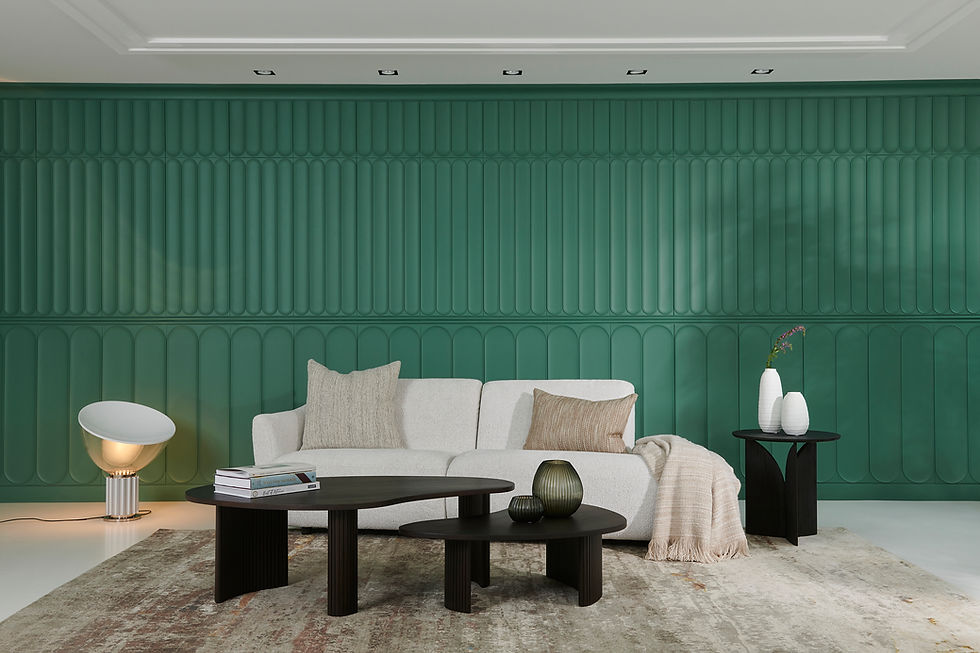 תמונה ממוזערת: ARC L