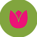 icon-256x256-greenxpink.png