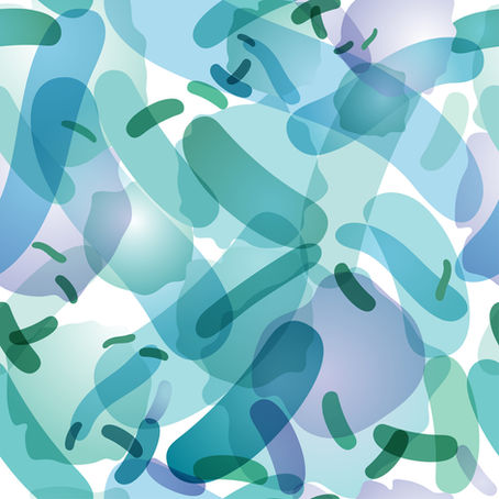 Revisiting gut bacteria