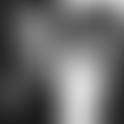 GOOSEBUMPS PUNCHES NO:EL