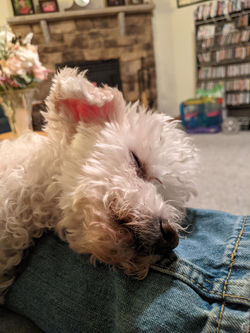 PXL_20210131_003937215