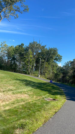 Walk route