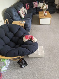 PXL_20210108_193348115