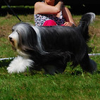 DSC_0544.JPG
