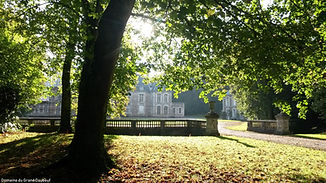 cour-honneur-chateau-daubeuf.jpg