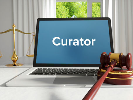Appointing a Curator for the purposes of protecting the mentally incapacitated