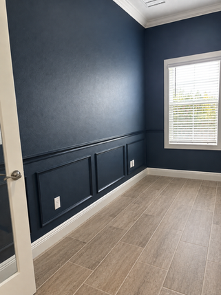 Navy wall molding and wainscoting in Tampa Bay