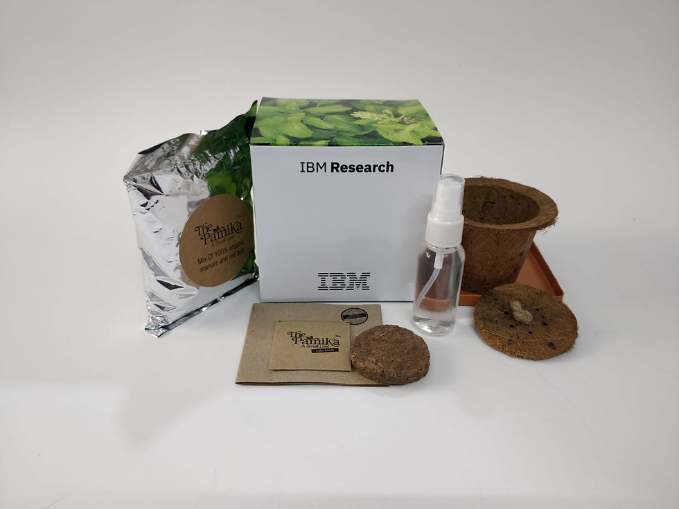 Miniatyrbild: Seed Plant with Coco Pot