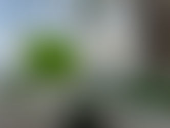 多様性の在り方