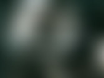 Nuove-Lune, Acquario