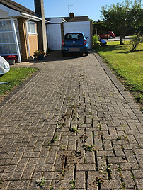 Driveway With Weeds