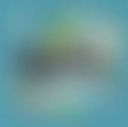 먹튀사이트 잡아내는 개발자들이 사용하는 기술적 검증법