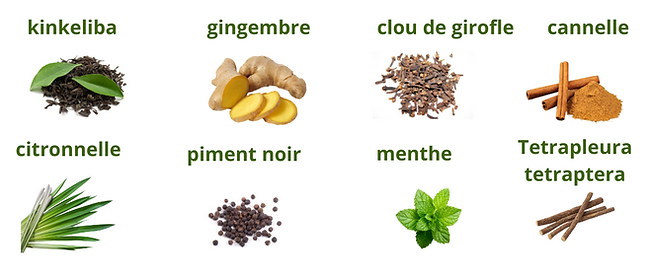 Ajouter un titre.png