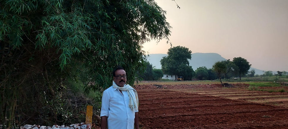 Climate changes impact on agriculture