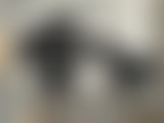 Find - You are not just a Cane Corso personalized female Horizontal Poster, Canvas