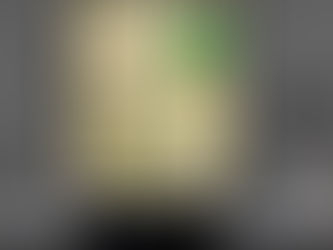 Buy - Disc Golf Knowledge poster, canvas