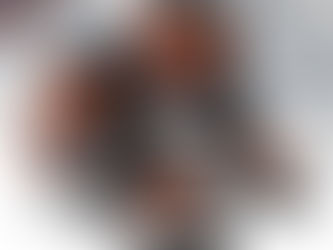 Best - Denver Broncos Jordan Sneaker Shoes Nfl Football Teams