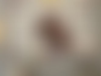 New - Gay Couple I choose you to do life with hand in hand side by side i'd find you poster, canvas