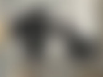 Buy - Boxer You are not just a Boxer personalized - For Boxer Lover Horizontal Poster, Canvas