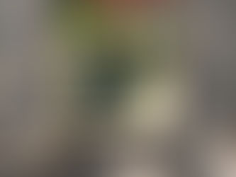 Shop - Motorcycle Racing Everything will kill you so choose something fun poster, canvas