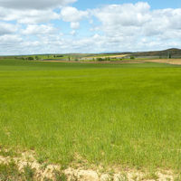 p1000865