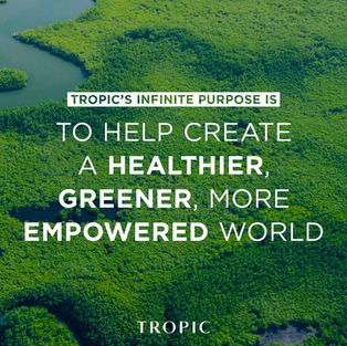 Ariel shop of a rainforest with writing on top