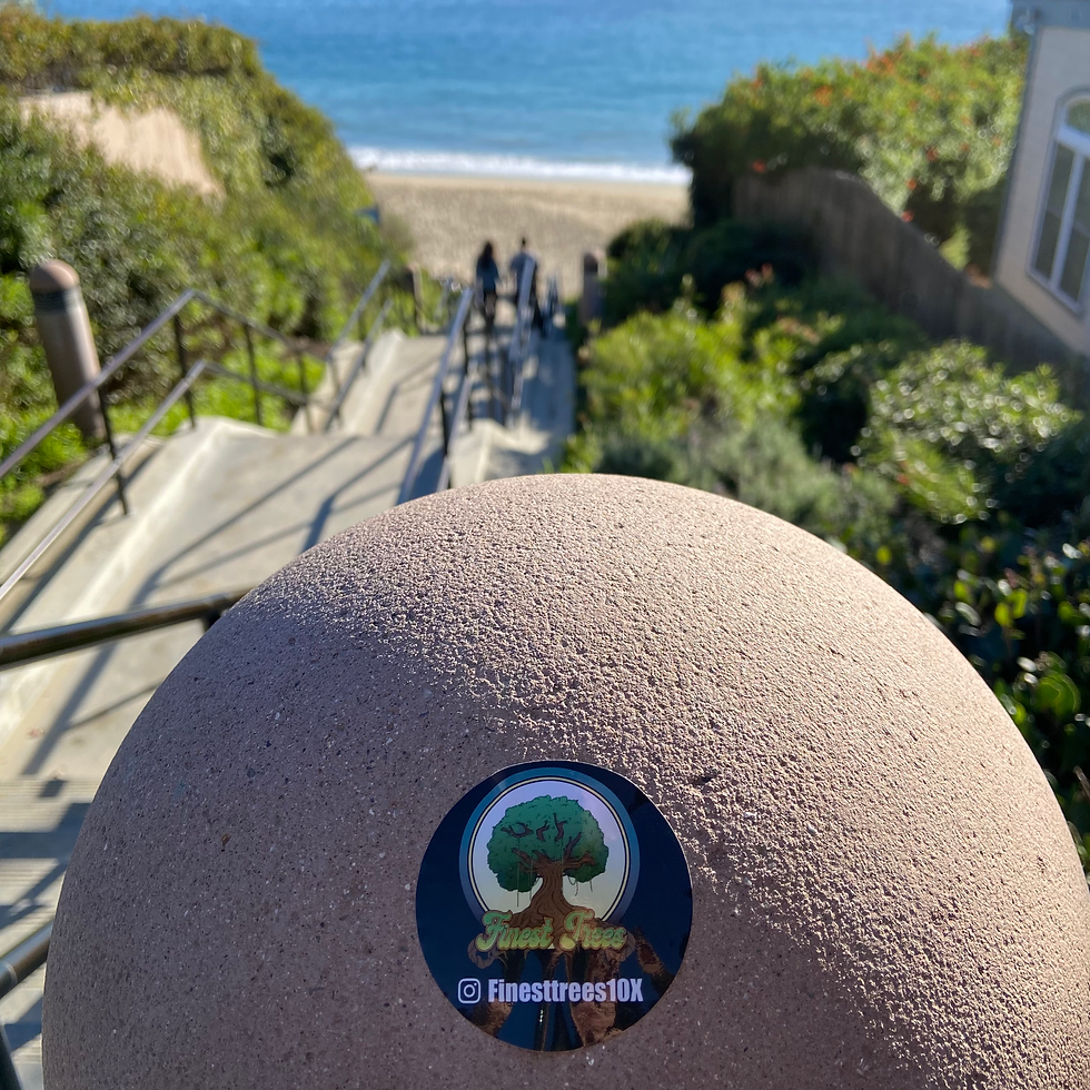 Laguna Beach, CA