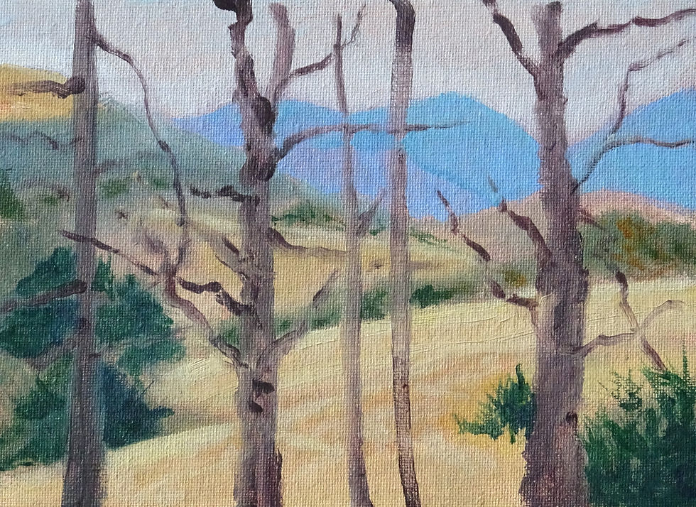 Midway Farm, Study 6 x 8