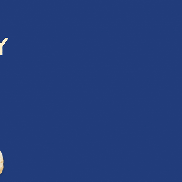 ezgif.com-gif-maker (1).gif