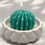 Thumbnail: Scented Soy candle - Succulents