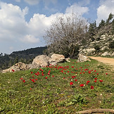 Sky, trail and flowers | Yuval Ziv | WaterComms