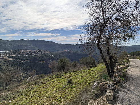 Hilly landscape.jpeg