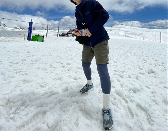 in switzerland2