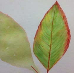 Photo 30-07-2015 11 55 20.jpg