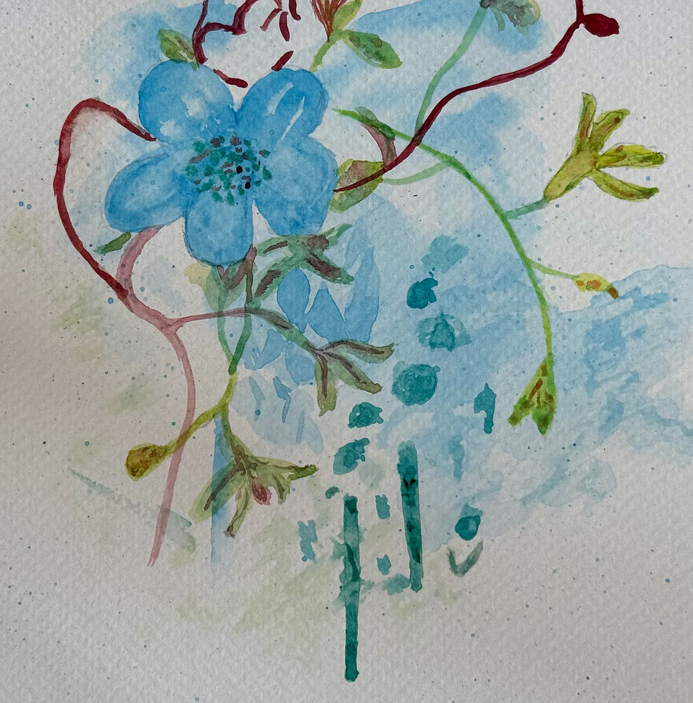 Anne April 4a