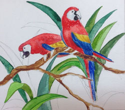 Photo 30-07-2015 11 55 53.jpg