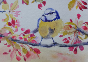 Joy Blue Tit.jpg