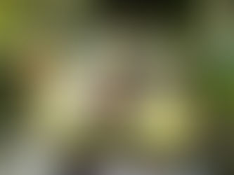 How my outdoor sketch developed