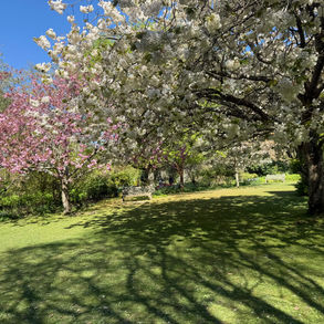 Outdoor sketching - how and where to start