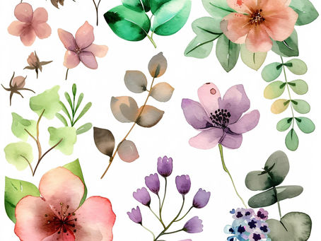 New Look Thursday Afternoons