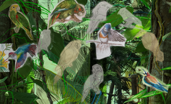 1st Draft: with green